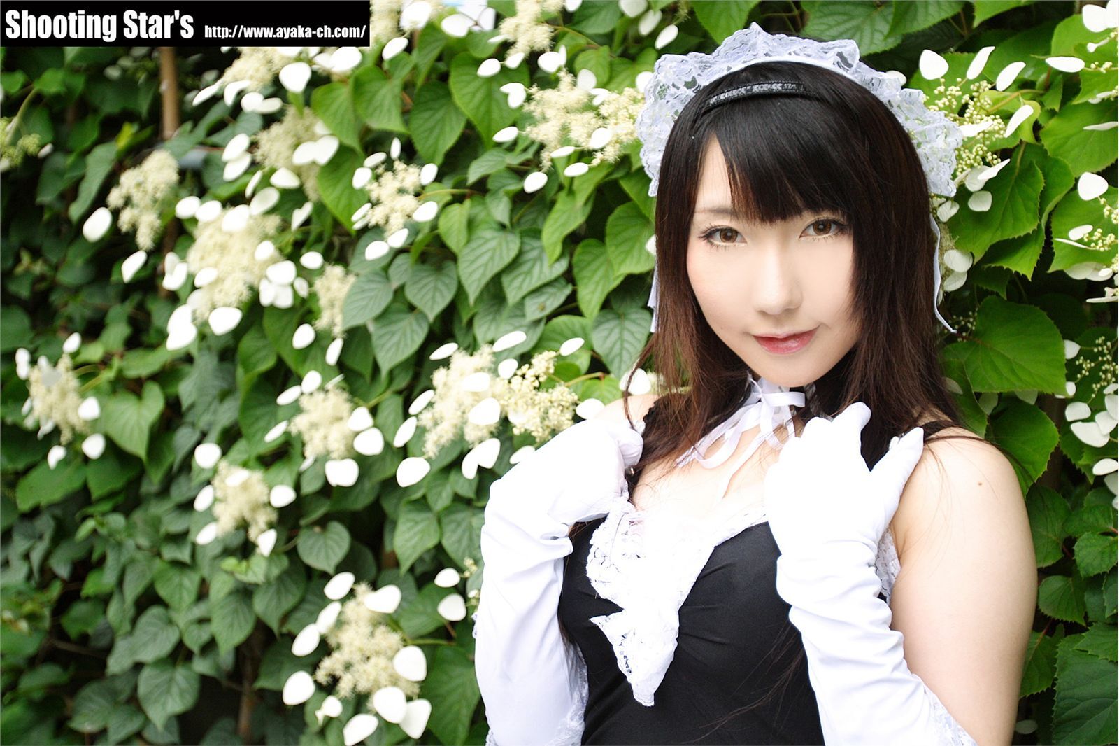 [Cosplay]  Sexy Maid with big boobs